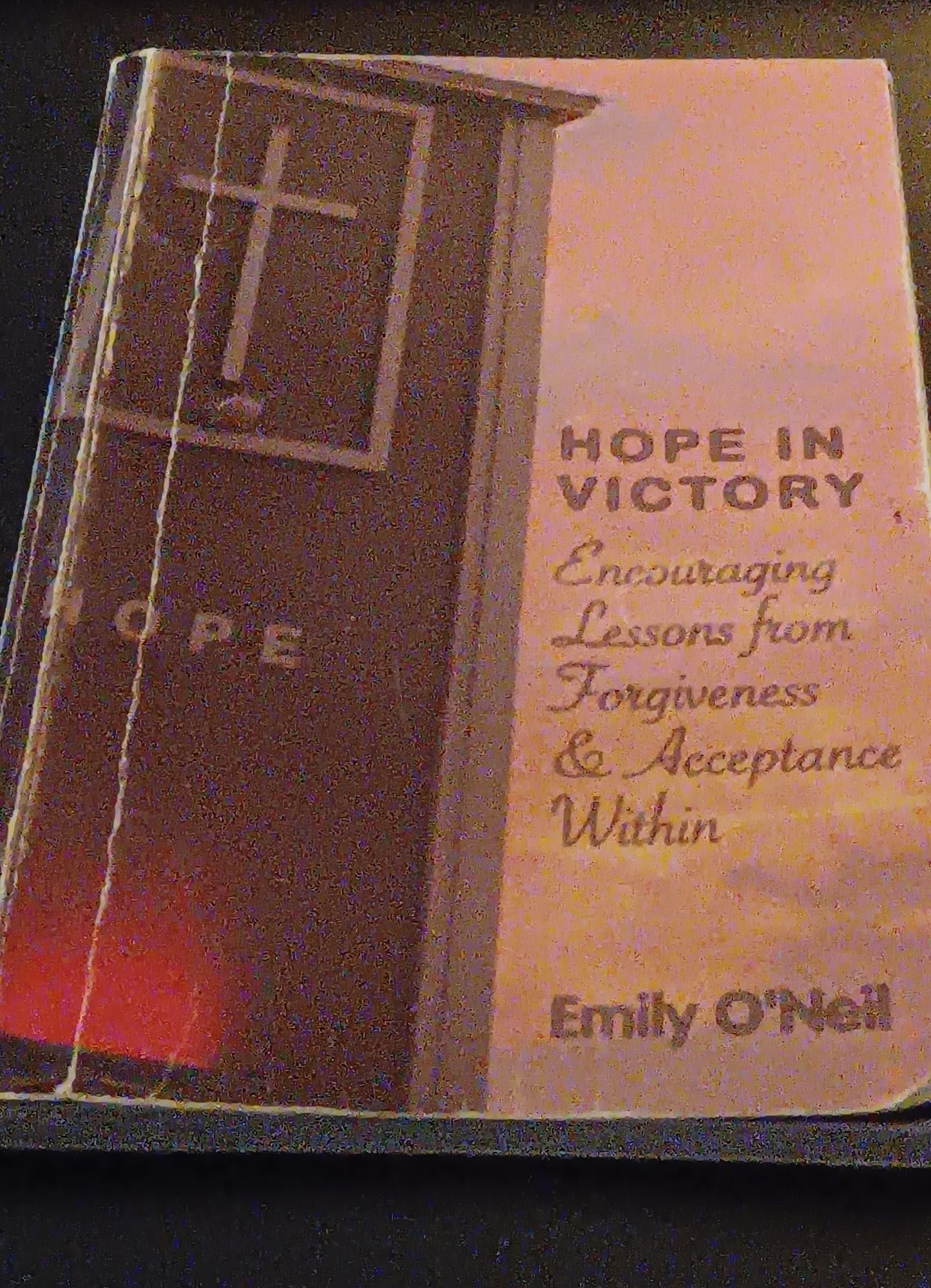 Hope and Victory (book)